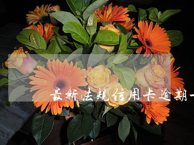 最新法规信用卡逾期一万怎么定罪 最新法规信用卡逾期一万怎么定罪