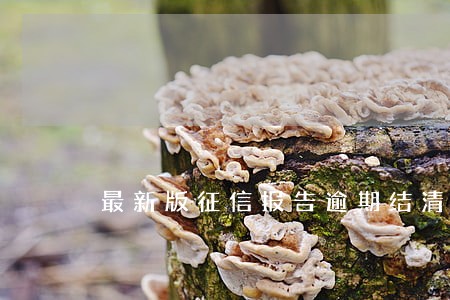 最新版征信报告逾期结清 最新版征信报告逾期结清
