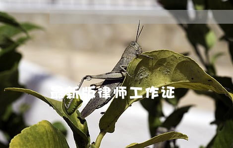 最新版律师工作证 最新版律师工作证