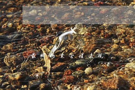最新物业管理法规 最新物业管理法规