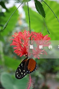 最新的不离婚男方答辩状格式 最新的不离婚男方答辩状格式