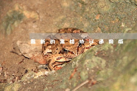 最新的离婚协议通用版 最新的离婚协议通用版