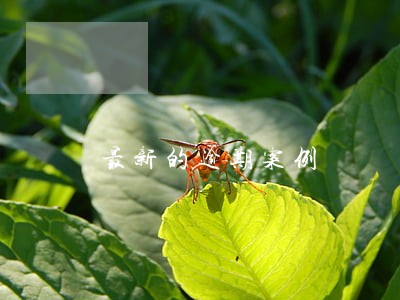 最新的逾期案例 最新的逾期案例