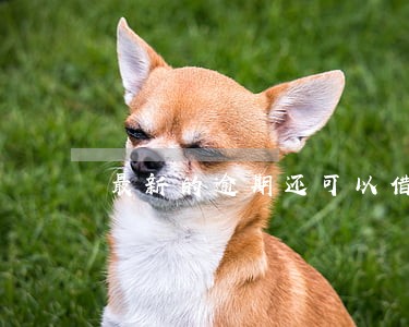 最新的逾期还可以借到的小贷 最新的逾期还可以借到的小贷
