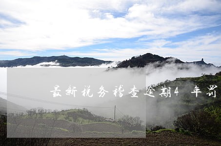 最新税务稽查逾期4年罚款标准 最新税务稽查逾期4年罚款标准