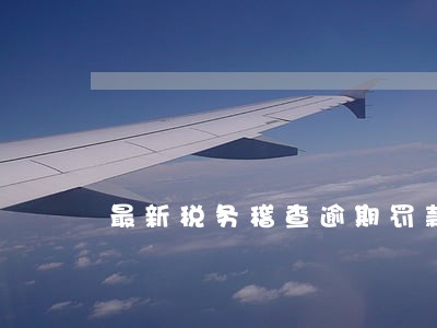 最新税务稽查逾期罚款标准 最新税务稽查逾期罚款标准
