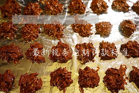 最新税务逾期罚款标准 最新税务逾期罚款标准