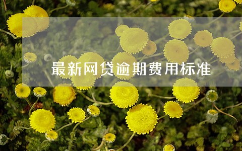 最新网贷逾期费用标准 最新网贷逾期费用标准