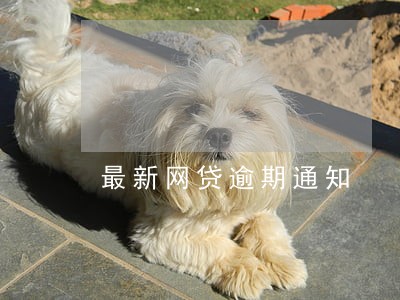 最新网贷逾期通知 最新网贷逾期通知
