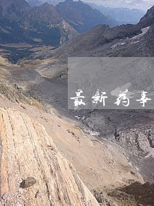 最新药事管理与法规学习指导9 最新药事管理与法规学习指导9