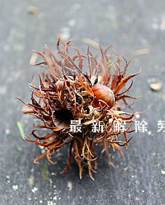 最新解除劳动合同法 最新解除劳动合同法