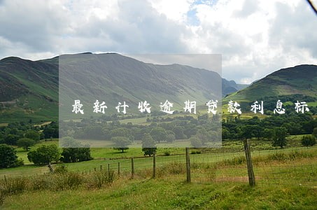 最新计收逾期贷款利息标准 最新计收逾期贷款利息标准