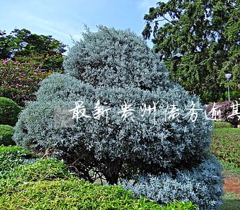 最新贵州债务逾期 最新贵州债务逾期
