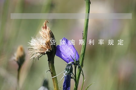 最新贷款逾期利率规定 最新贷款逾期利率规定
