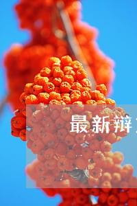 最新辩方律师证据 最新辩方律师证据