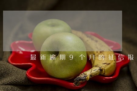 最新逾期9个月的征信报告单图片 最新逾期9个月的征信报告单图片