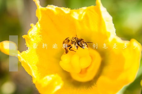 最新逾期付款利息是多少 最新逾期付款利息是多少