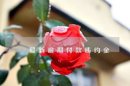 最新逾期付款违约金
