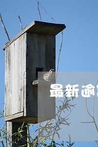 最新逾期借款利息一般是多少 最新逾期借款利息一般是多少