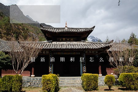 最新逾期利息怎么算利息 最新逾期利息怎么算利息