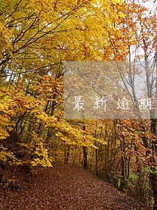 最新逾期利息表述 最新逾期利息表述