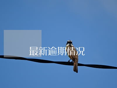 最新逾期情况 最新逾期情况