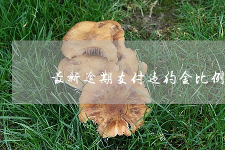 最新逾期支付违约金比例 最新逾期支付违约金比例