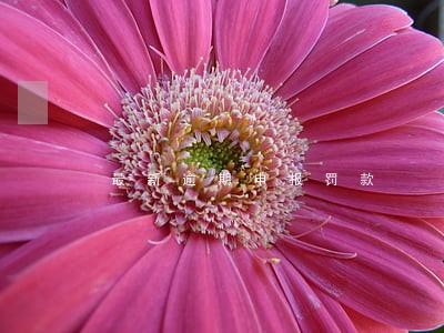 最新逾期申报罚款 最新逾期申报罚款