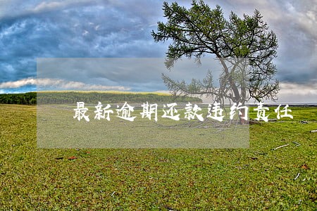 最新逾期还款违约责任 最新逾期还款违约责任