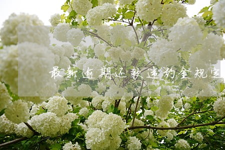 最新逾期还款违约金规定 最新逾期还款违约金规定