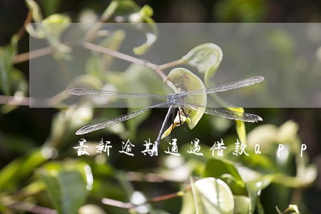 最新逾期通过借款app 最新逾期通过借款app