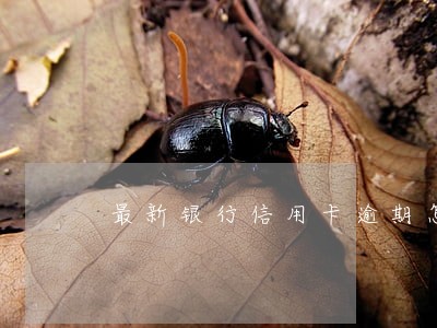 最新银行信用卡逾期怎么处理