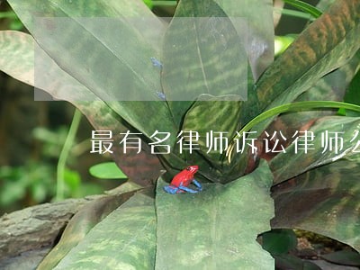 最有名律师诉讼律师公司 最有名律师诉讼律师公司