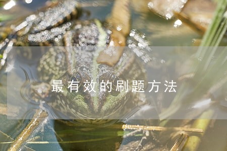 最有效的刷题方法 最有效的刷题方法