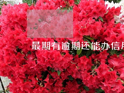 最期有逾期还能办信用卡吗
