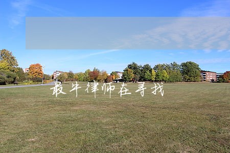 最牛律师在寻找 最牛律师在寻找