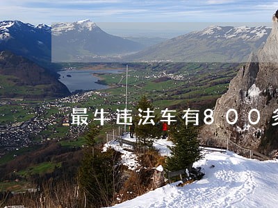 最牛违法车有800多个驾驶人 最牛违法车有800多个驾驶人