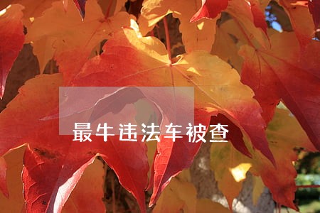 最牛违法车被查 最牛违法车被查