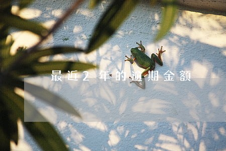 最近2年的逾期金额 最近2年的逾期金额