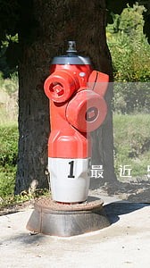 最近5年17个月信用逾期 最近5年17个月信用逾期