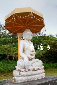 最近5年内有一个信用卡逾期 最近5年内有一个信用卡逾期