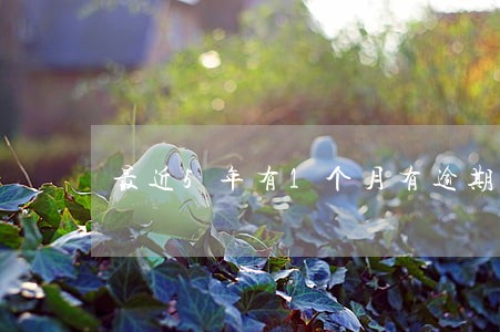 最近5年有1个月有逾期记录吗