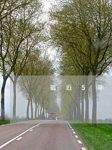 最近5年有一个月逾期超过90天 最近5年有一个月逾期超过90天