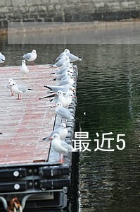 最近5年有超过1个月的逾期 最近5年有超过1个月的逾期
