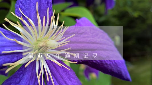 最近5年逾期记录 最近5年逾期记录