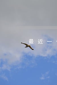 最近一个月逾期100多块钱 最近一个月逾期100多块钱