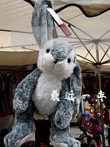 最近一年信用卡逾期上征信么 最近一年信用卡逾期上征信么