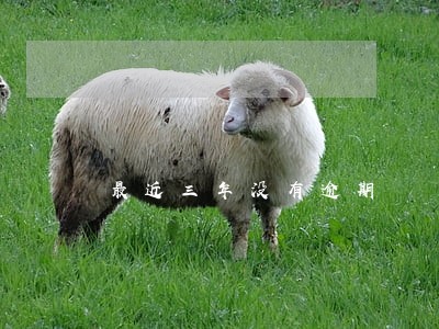 最近三年没有逾期 最近三年没有逾期