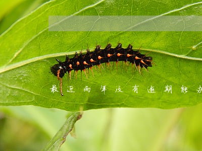 最近两年没有逾期能办理房贷吗 最近两年没有逾期能办理房贷吗
