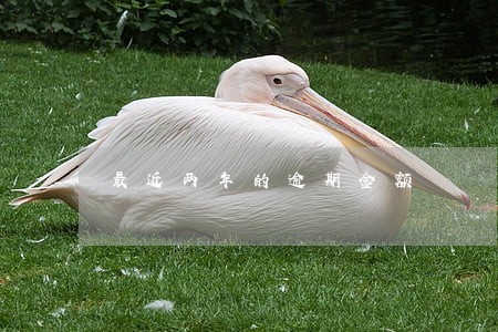最近两年的逾期金额 最近两年的逾期金额